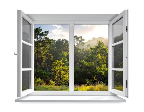 Window to Forest View.