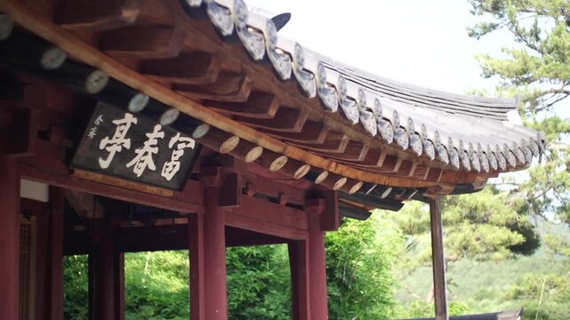 Korea Hwasun Chimsujeong traditional architecture pavilion building wooden structure roof tile dancheong nameplate culture heritage history 대한민국 한국 화순 침수정 전통 건축 한옥 정자 건물 기와 지붕 단청 현판 문화재 유산 역사