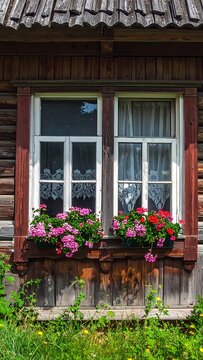 Window with Flowers.