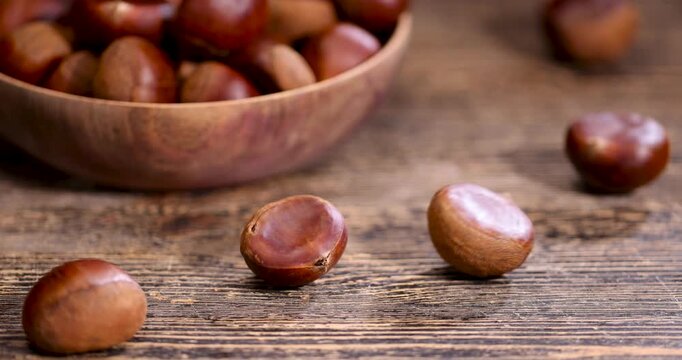 A chestnut of brown color on a wood background, this chestnut is located on a wooden disk with dark bark on the surface of an old table made of planks.