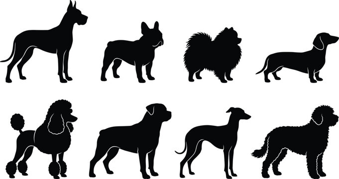 Popular Purebred Dog Breeds Solid Black Silhouette Vector Bundle Featuring Poodle Bulldog Rottweiler and Dachshund Isolated on White Background