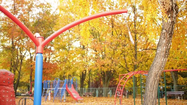 Beautiful little girl on swing