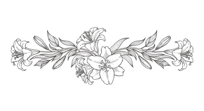 Horizontal black and white floral line art divider featuring detailed lily blossoms, blooming flowers, and elegant leaf scrolls on a white background for decorative stationery.