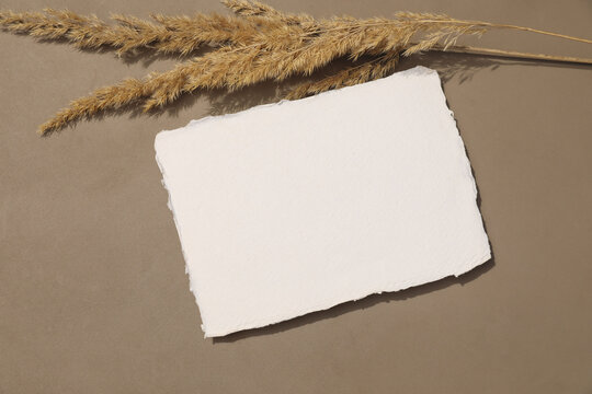Blank Handmade Deckle Edge Paper Mockup. Dried Grass on Neutral Brown Beige Table Background in Sunlight. Cotton paper Invitation. Minimal Stationery Template. Wedding Invitation, Branding, Greeting