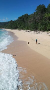 Woman walking on secluded beach, waves folding over pale sand, fallen driftwood near jungle edge, playful paw prints, sunny tropical backdrop, relaxed exploration,Alas Purwo, Grajagan Bay, Java