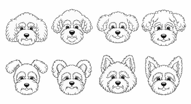 Set of eight black and white line art illustrations featuring various fluffy dog breed faces including poodles, terriers, and bichons, ideal for children's coloring pages and pet graphics.