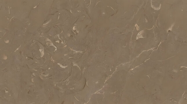Taupe limestone texture featuring fossilized shell fragments found across North america.