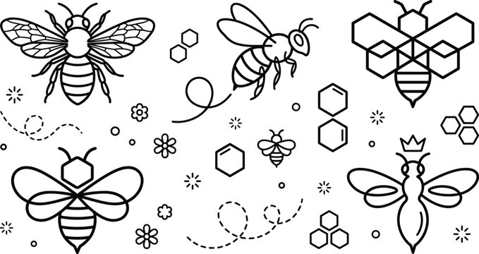 Honey Bee Vector Set with Geometric Honeycomb Queen Bee and Botanical Insect Icons