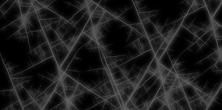 Abstract black background with white scratches and cracks, texture for design