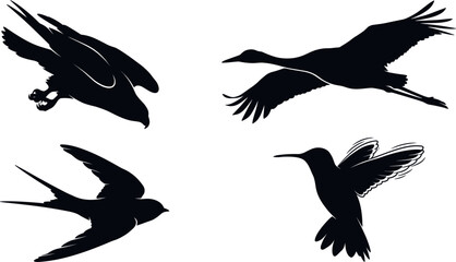 Obraz premium Flying Wild Birds and Avian Species Solid Black Silhouette Vector Set Collection Featuring Diving Hawk, Soaring Crane Heron, Gliding Swallow, and Hovering Hummingbird Elements