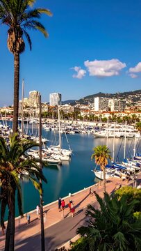 Sunny Coastal Marina Filled with Sailboats and Palm Trees in Mediterranean City