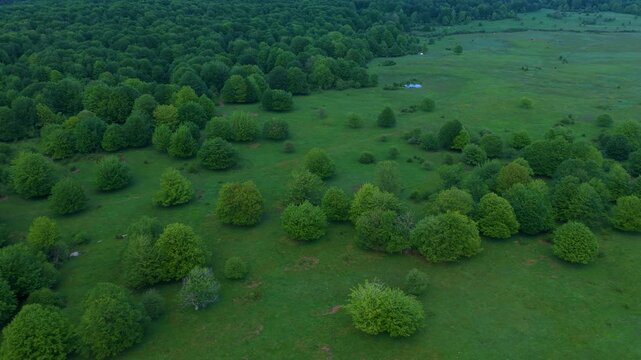Aerial drone view of the spring landscape of beech forests in the Sierra de Entzia. &Aacute;lava. Basque Country. Spain. Europe