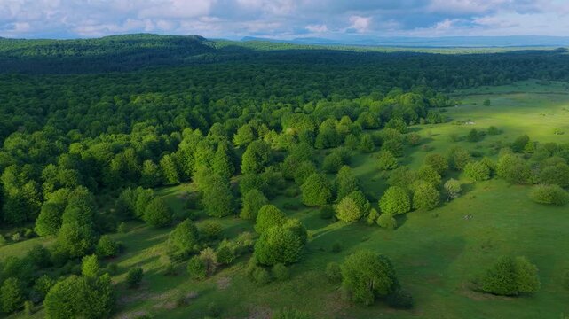 Aerial drone view of the spring landscape of beech forests in the Sierra de Entzia. &Aacute;lava. Basque Country. Spain. Europe