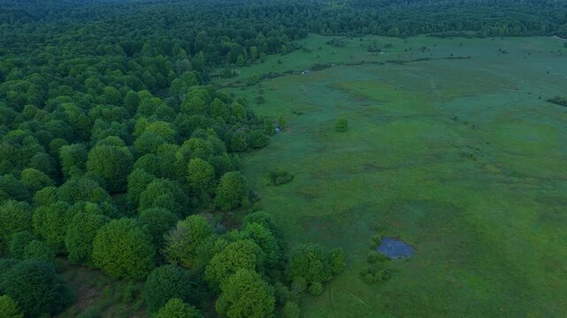 Aerial drone view of the spring landscape of beech forests in the Sierra de Entzia. &Aacute;lava. Basque Country. Spain. Europe
