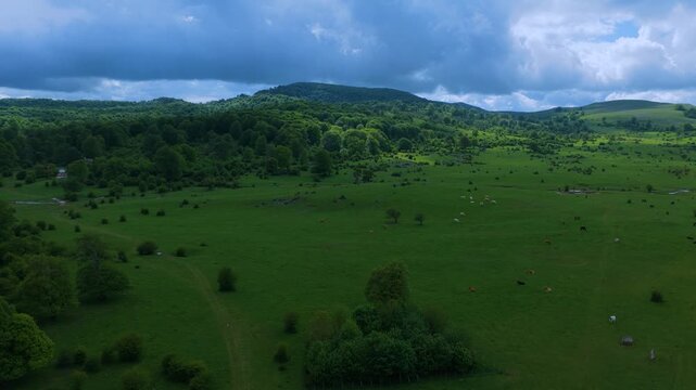 Aerial drone view of the spring landscape of beech forests in the Sierra de Entzia. &Aacute;lava. Basque Country. Spain. Europe