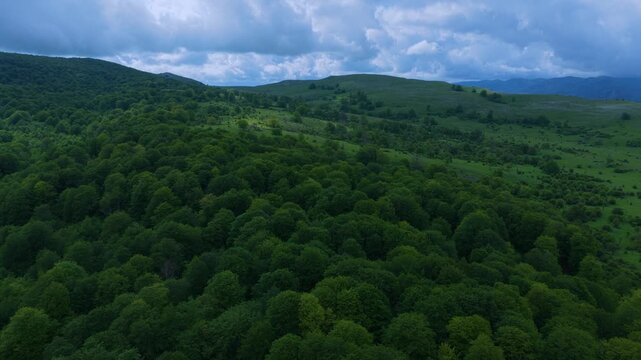 Aerial drone view of the spring landscape of beech forests in the Sierra de Entzia. &Aacute;lava. Basque Country. Spain. Europe
