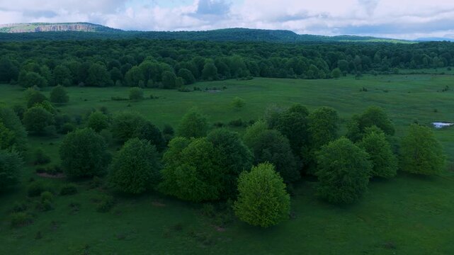 Aerial drone view of the spring landscape of beech forests in the Sierra de Entzia. &Aacute;lava. Basque Country. Spain. Europe