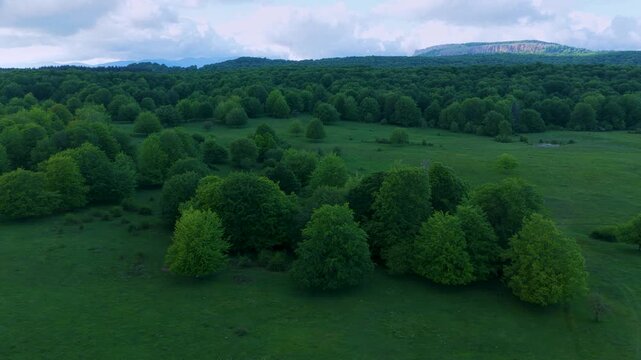 Aerial drone view of the spring landscape of beech forests in the Sierra de Entzia. &Aacute;lava. Basque Country. Spain. Europe