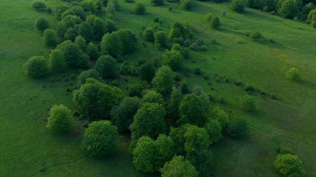 Aerial drone view of the spring landscape of beech forests in the Sierra de Entzia. &Aacute;lava. Basque Country. Spain. Europe