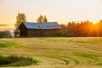 Sunrise over a farm in Sweden with a wooden barn and fields in view © Mikael