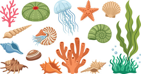 Beautiful underwater marine life vector illustration set featuring colorful sea coral reefs jellyfish starfish seaweed nautilus and exotic seashells isolated on white background. © Rumi