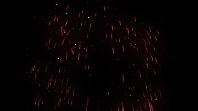 Colorful Fireworks Explosion, Bright Fireworks in the Night Sky. Celebration Fireworks Display