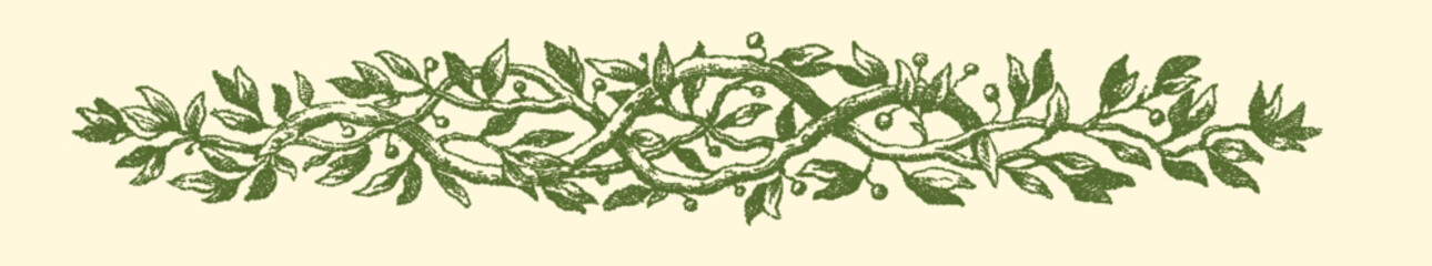 Stipple engraving of a leafy vine garland with berries © deltapulp