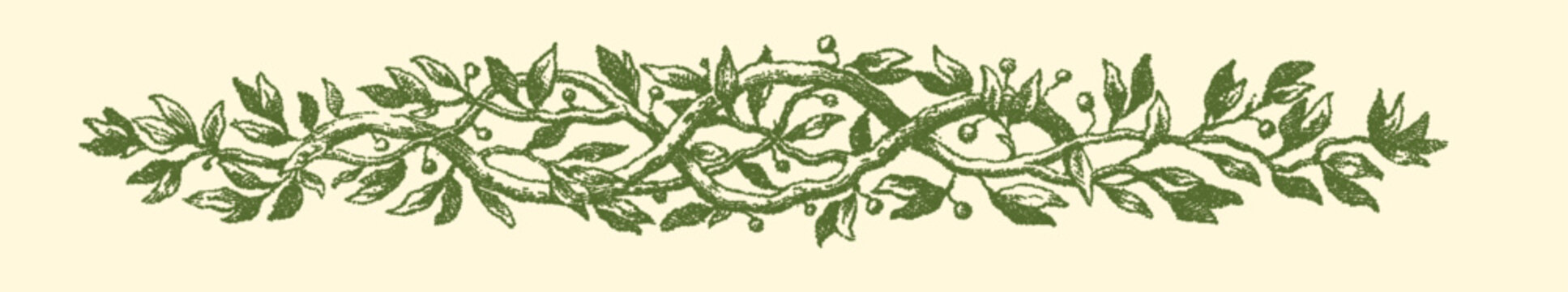 Stipple engraving of a leafy vine garland with berries