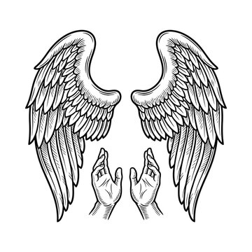 Pair of feathered wings above open human hands.