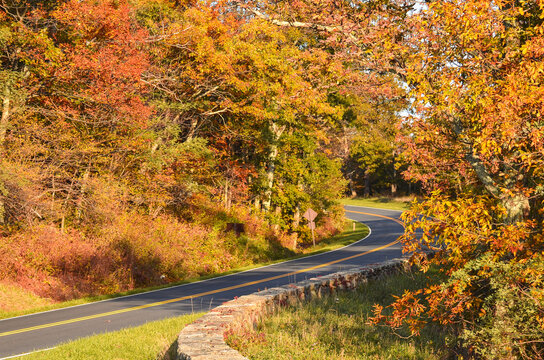 Autumn in  Shenandoah National Park, Virginia, United States of America
