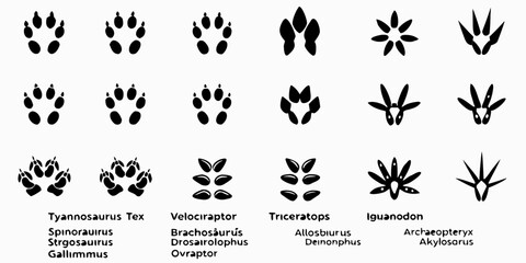 Dinosaur Footprint Silhouettes On White Background Paleontology Illustration © Sujal