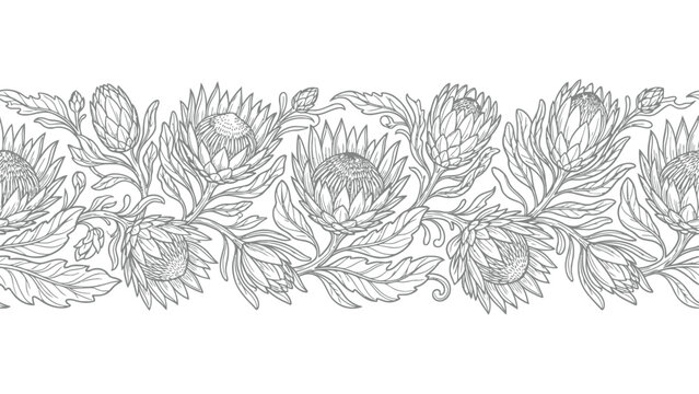 Seamless floral border pattern with hand drawn protea flowers in a minimalist black and white style