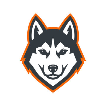 Siberian husky wolf head logo with orange outline.