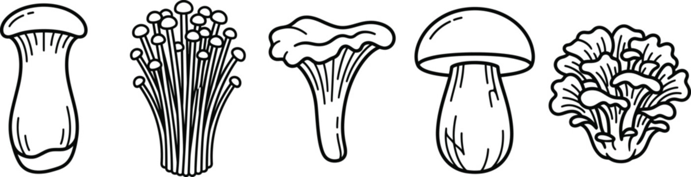 Gourmet mushroom line art icon set king oyster enoki chanterelle porcini maitake vector
