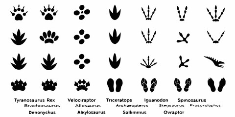 Dinosaur Footprint Silhouettes On White Background Paleontology Illustration © Hemlata