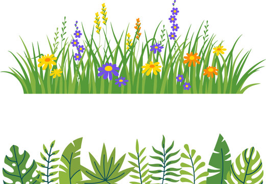 Spring meadow and tropical leaves borders vector.