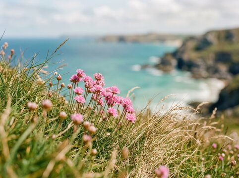 Pink flowers on a cliffside overlooking the ocean