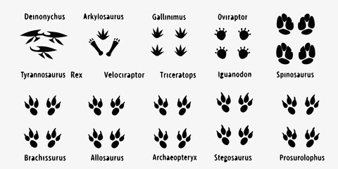 Dinosaur Footprint Silhouettes On White Background Paleontology Illustration © AnupKumar