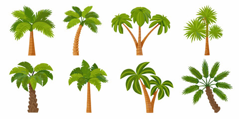 Obraz premium Tropical Palm Trees Vector Illustration Set On White Background