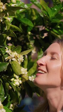 Beautiful blonde woman smelling the fragrant white flowers of a blooming orange tree in a lush green garden, enjoying the sweet aroma and the warm sunlight on a lovely spring day