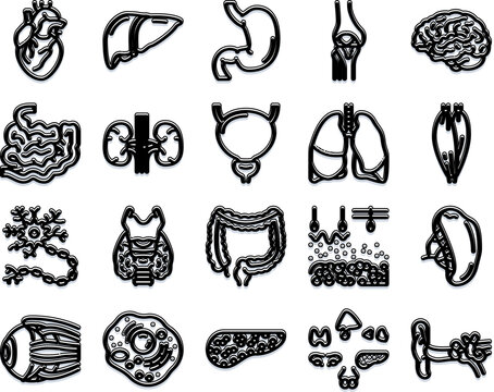 Human internal organs, cells and microscopic structures illustrated as a cohesive anatomy and physiology infographic set for medical, educational and research use in health and biology contexts