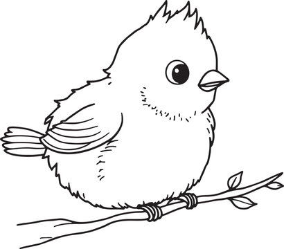Cute little bird drawing sitting on a tree branch for coloring page Vector