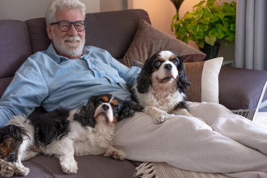 Senior man relaxing on sofa with two cavalier king charles spaniels, smiling while enjoying companionship, demonstrating a cozy home lifestyle and pet love