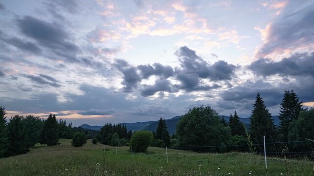 evening sky over serene outdoor landscape with trees and grass. tranquil scene captured with fixed viewpoint, natural blue and white tones, clean background for copy space.