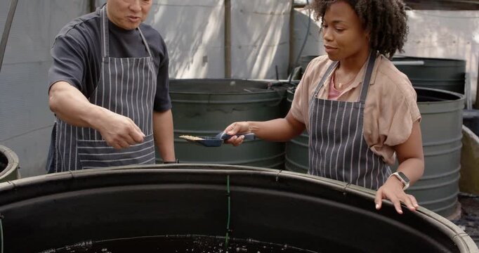 African woman in striped apron taking scoop from Asian man, tilting scoop, feeding fish in tank