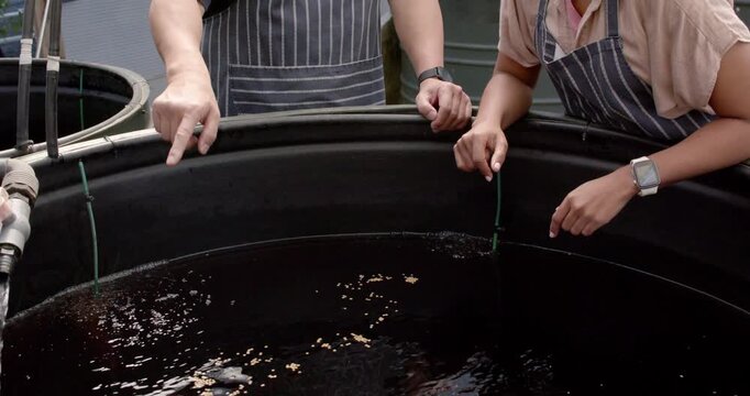 Two coworkers in striped aprons seeing floating feed, pointing over tank inspecting water