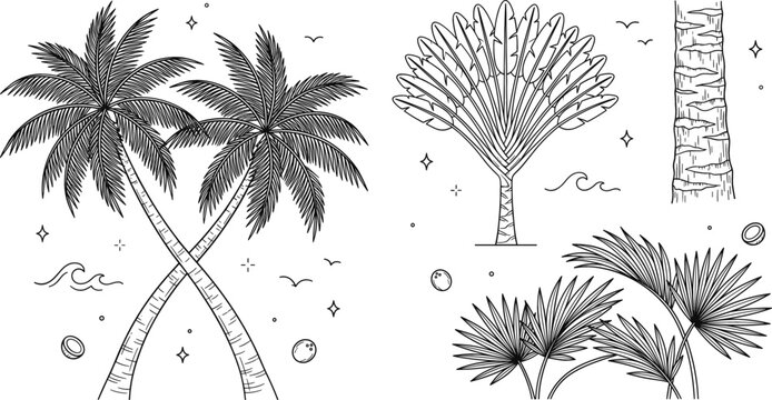 Crossed coconut palm trees vector set with ravenala banana plant exotic leaves ocean waves and tropical beach elements