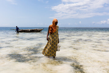 Afrykańskie kobiety zbierające skorupiaki na plażach Zanzibaru Tanzania © kubikactive