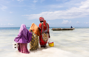Afrykańskie kobiety zbierające skorupiaki na plażach Zanzibaru Tanzania © kubikactive