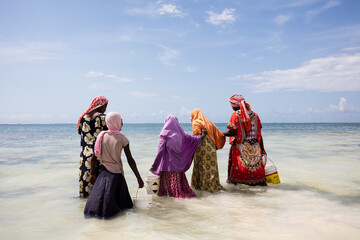 Afrykańskie kobiety zbierające skorupiaki na plażach Zanzibaru Tanzania © kubikactive